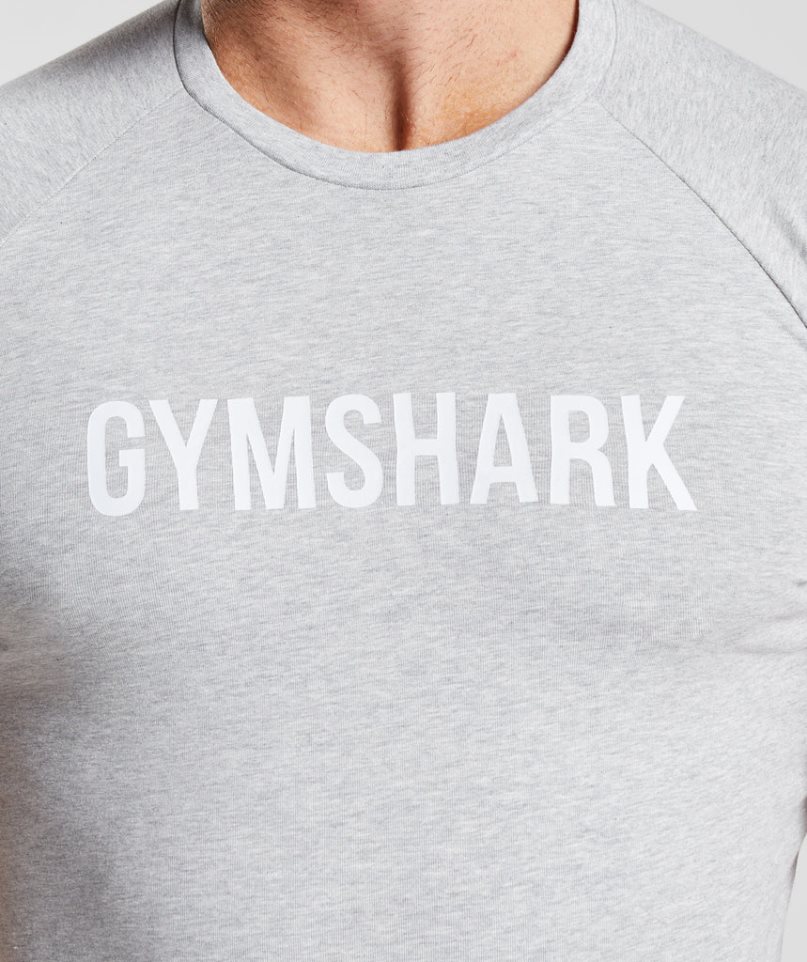 Koszulki Gymshark Apollo Męskie Głęboka Szare | PL 705SZT